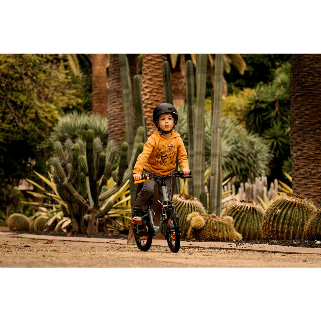 BICICLETA + BICI SIN PEDALES 2 EN 1 DISCOVER 900 NIÑOS 14" - Image 65
