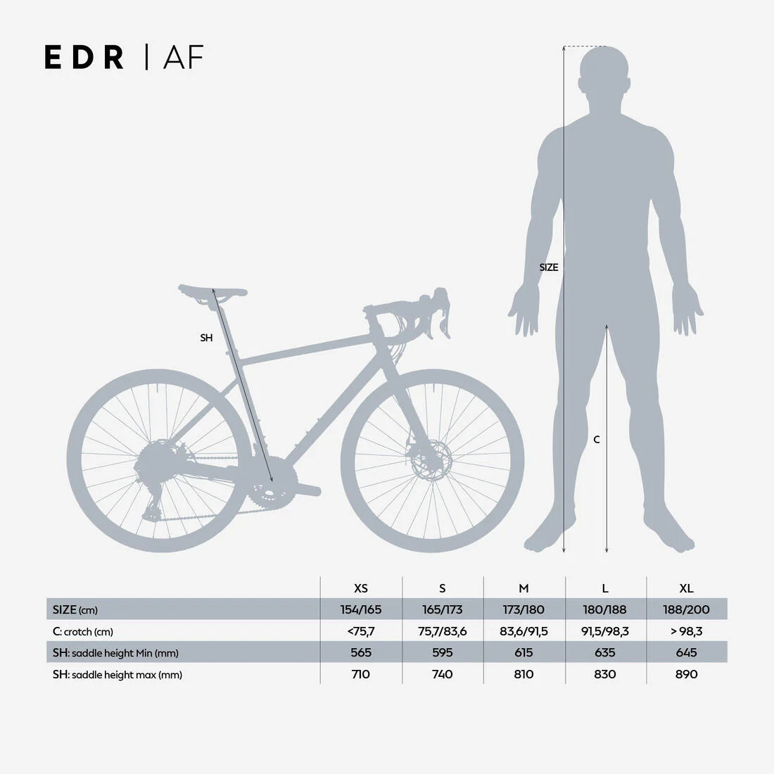 Bicicleta Carretera EDR AF Cues - Image 5