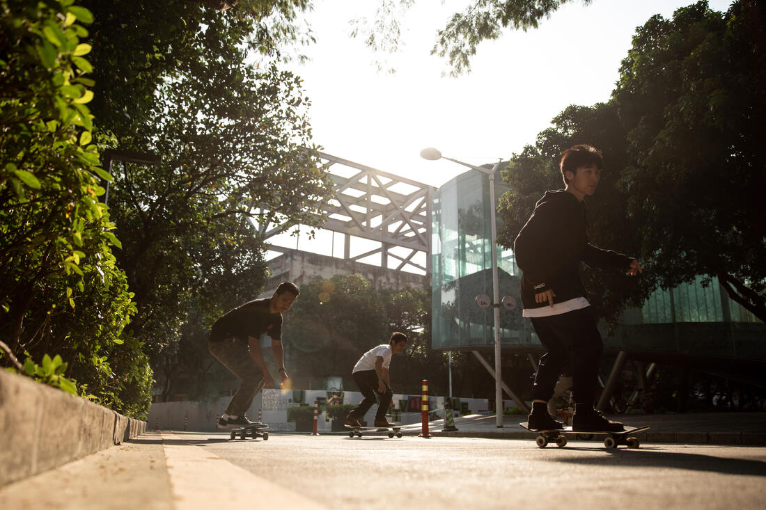 CRUISER SKATE  PALM WOOD YAMBA500 - Image 13