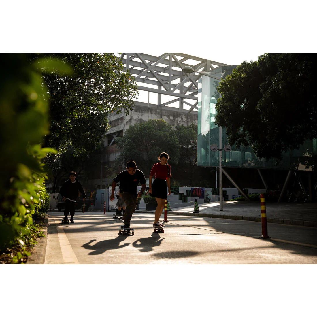 CRUISER SKATE  PALM WOOD YAMBA500 - Image 14