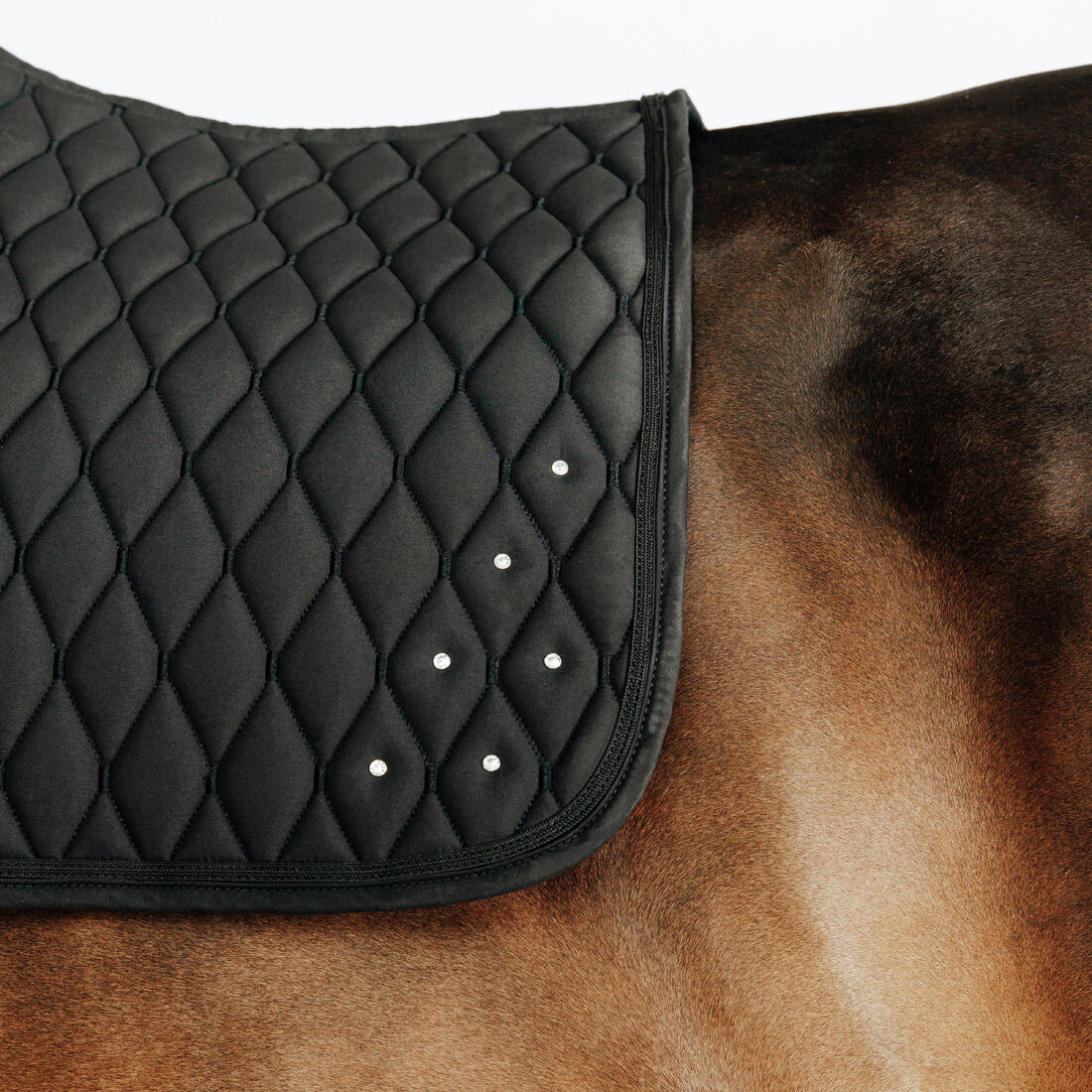 MANTILLA SILLA EQUITACIÓN 500 CRISTALES BRILLANTES CABALLO PONI - Image 3