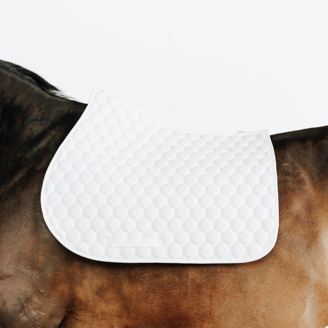 MANTILLA SILLA EQUITACIÓN COMPETENCIA 500 CABALLO/PONI